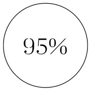 Logo pourcentage d'efficacité 95%
